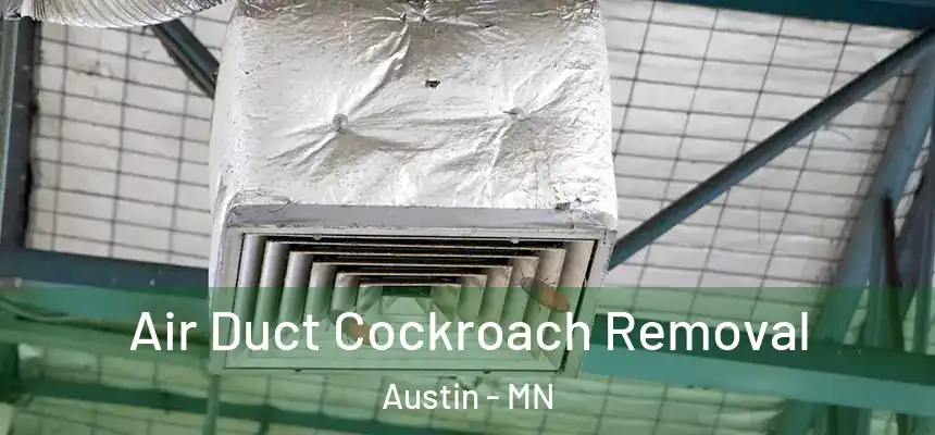 Air Duct Cockroach Removal Austin - MN