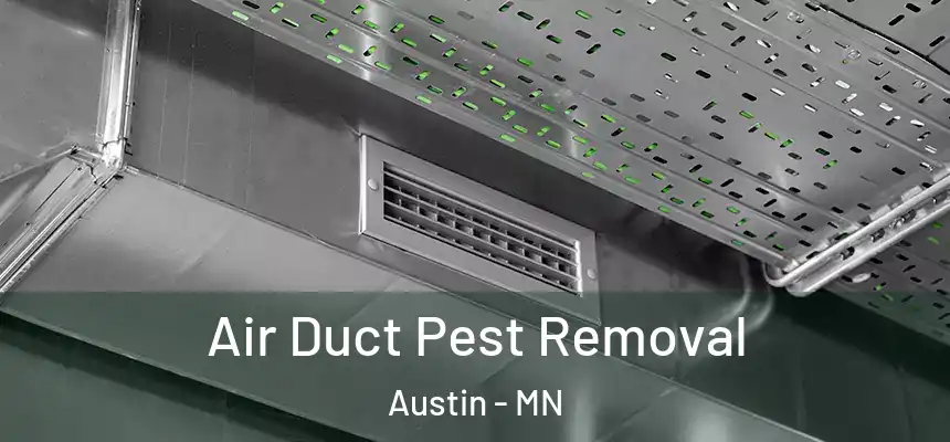  Air Duct Pest Removal Austin - MN