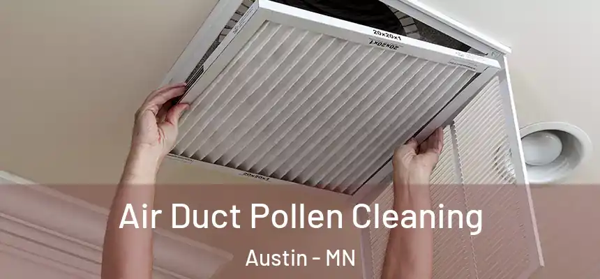 Air Duct Pollen Cleaning Austin - MN