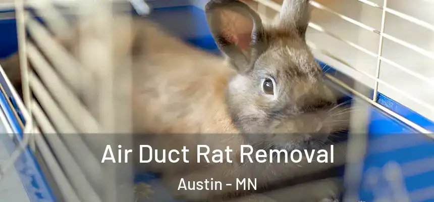  Air Duct Rat Removal Austin - MN