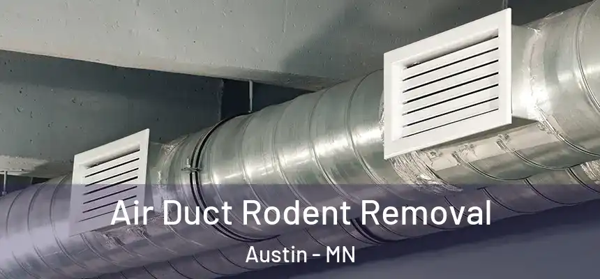 Air Duct Rodent Removal Austin - MN
