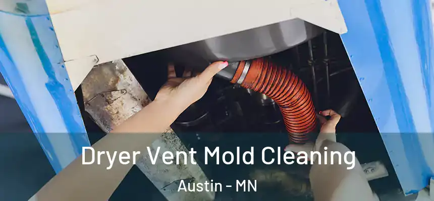  Dryer Vent Mold Cleaning Austin - MN