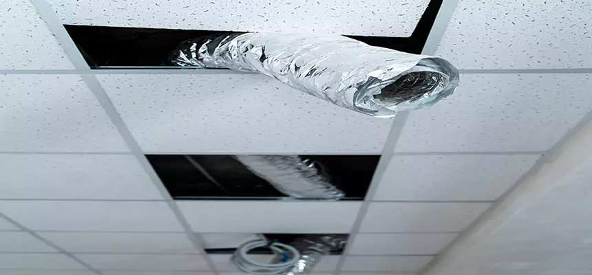 Our Air Duct Pet Hair Removal Services in Austin, MN