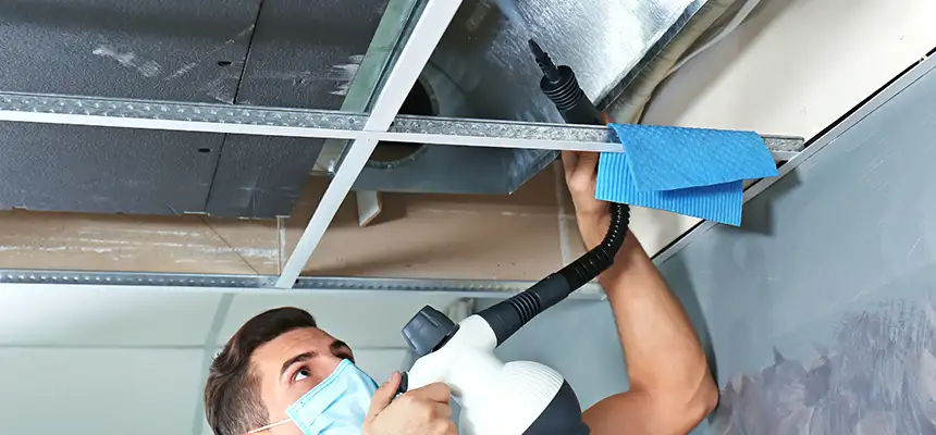 Our Air Duct Rodent Removal Services in Austin, MN
