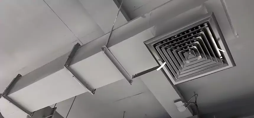 Our Pest Removal From Ducts Services in Austin, MN