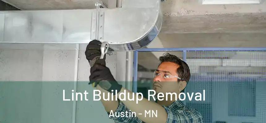  Lint Buildup Removal Austin - MN