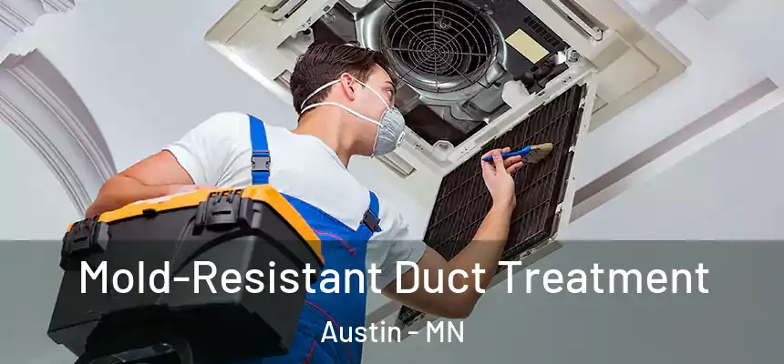  Mold-Resistant Duct Treatment Austin - MN