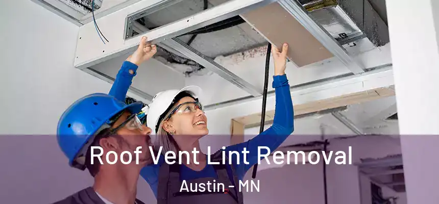 Roof Vent Lint Removal Austin - MN